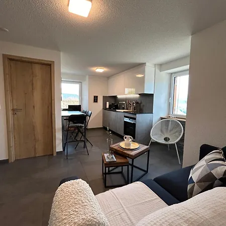 4 Valleys Modern With Free Parking * Nendaz